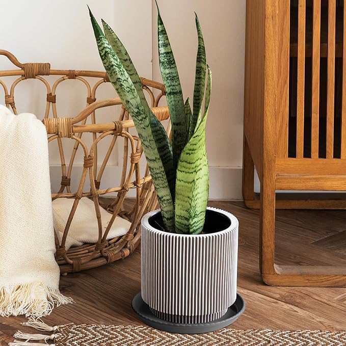 MUDEELA 6 Pack of 12 inch Plant Saucer, Durable Plastic Plant Trays for Indoors, Grey Plastic Flower Plant Pot Saucer, Made of Thicker, Stronger Plastic, with Taller Design