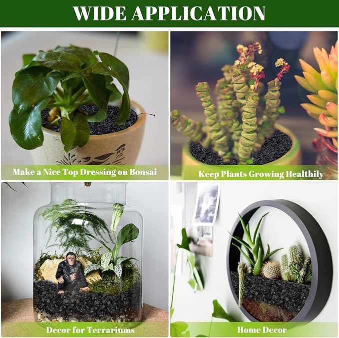 Legigo 4QT All Natural Horticultural Charcoal- Activated Hardwood Plant Charcoal for Soil Amendment, Conditioning Bonsai Soil, Succulent Soil, Terrarium Supplies, Indoor Plant Potting Soil