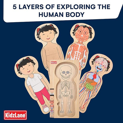 Kidzlane Wooden My Body Puzzle for Toddler - 5-Layer Girl Anatomy Puzzle - Real Wood - Multicolor - Educational Human Body Toy for Kids - BPA Free - Educational Toys