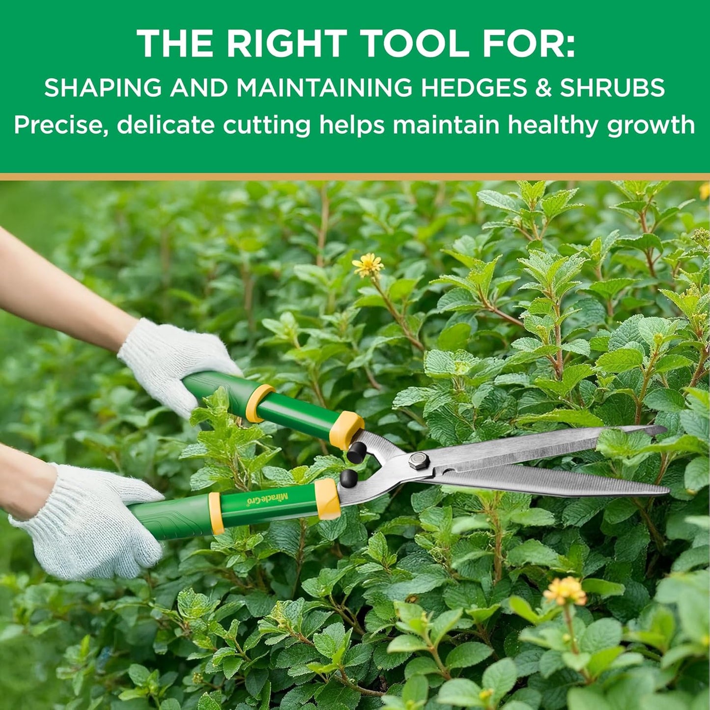Miracle-Gro 21 in. Hedge Shears – Lawn and Yard Tool with Sharp Carbon Steel Blades, Comfort Grip Handles, and Lightweight Design for Shaping/Trimming Hedges, Shrubs, and Bushes