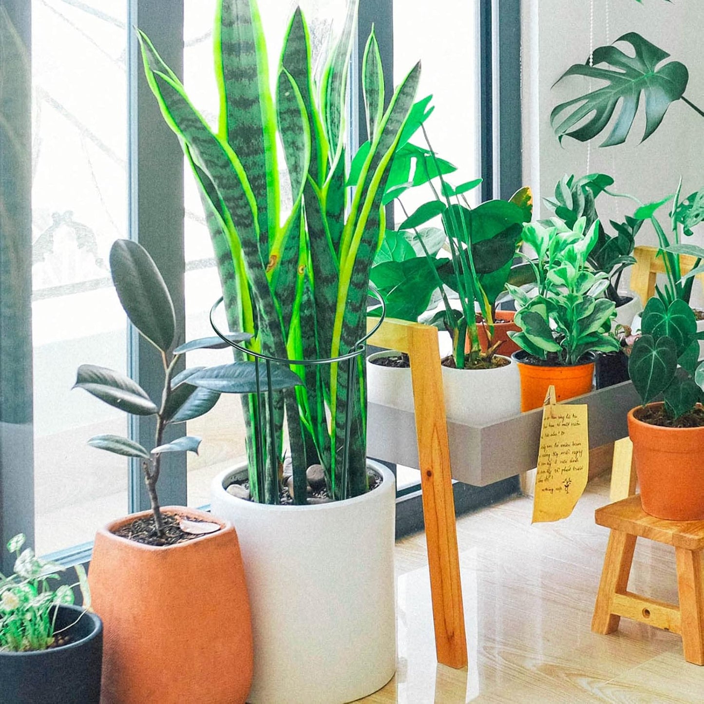 HiGift 16 Pack 24 Inch Plant Support Stakes, 10" Wide x 24" High Half Round Metal Garden Plant Stake Peony Support Cage, Green Plant Support Ring Border for Tomato,Hydrangea,Flower Indoor Outdoor