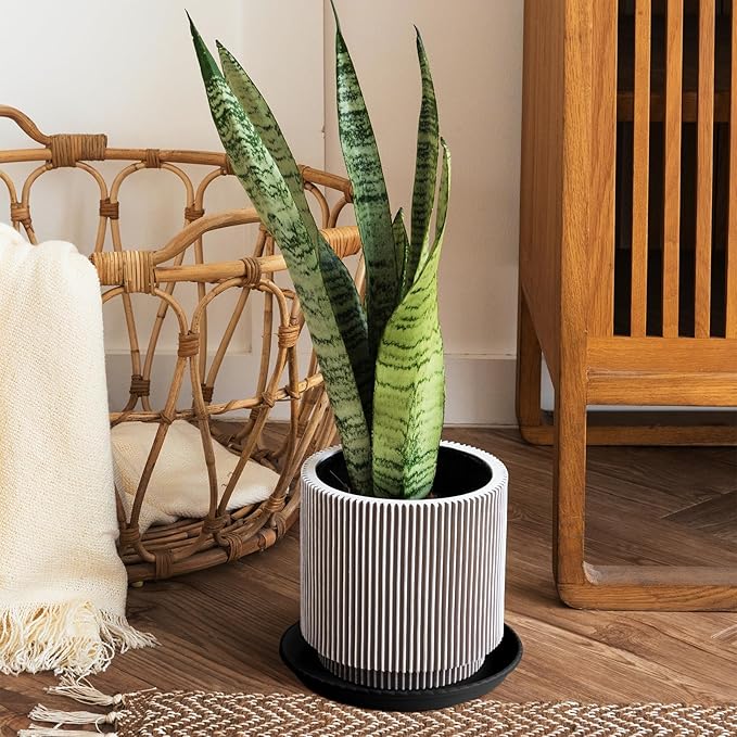 MUDEELA 6 Pack of 8 inch Plant Saucer, Durable Plastic Plant Trays for Indoors, Black Plastic Flower Plant Pot Saucer, Made of Thicker, Stronger Plastic, with Taller Design