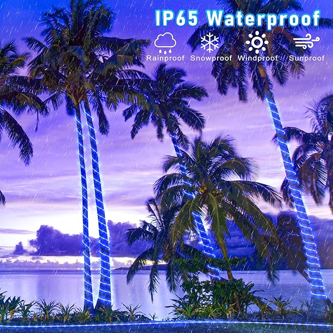 66FT 200 LED Rope Lights for Outside, Christmas String Lights with Waterproof 8 Modes, Flexible and Connectable Plug in Fairy Lights for Outdoor Indoor Bedroom Patio Party Wedding Decorations, Blue