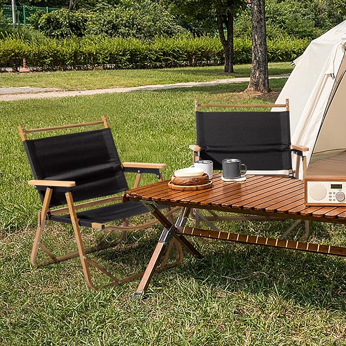 Outvita Portable Folding Camping Chair, 4pcs Ultralight Low Beach Chair, Durable Aluminum Frame Armchairs for Hiking Concert Fishing Picnic, Supports 229Lbs