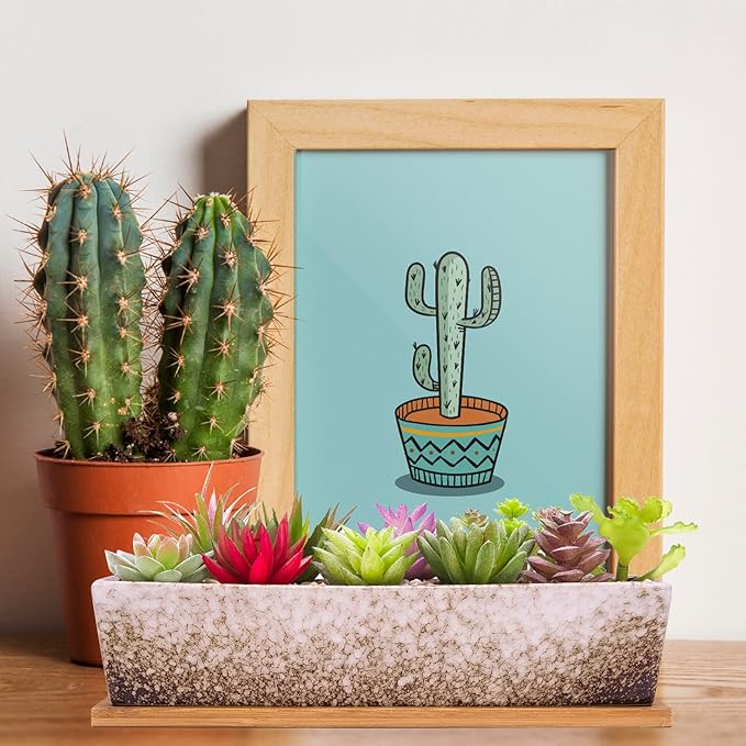 Succulent Pots - 12.1 Inch Large Succulent Planters Pots with Drainage Tray, Long Rectangle Ceramic Pots for Indoor Cactus/Succulent Plants Shallow Bonsai Window Box for Home Garden Decor (White)