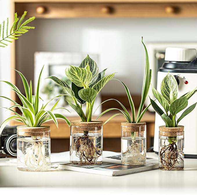 Glass Plant Propagation Stations for Plants – Set of 4(4 Large & 4 Small) Hydroponic Vases for Plant Cuttings,Flower Arrangements, Home & Office Decor–Desktop Vases for Living Room, Bedroom (8)