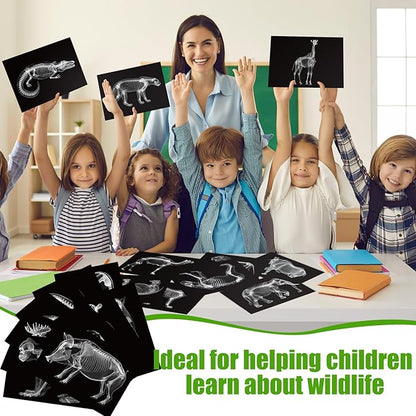 Chunful 20 Pcs Animal X-Ray Kit Wildlife X-Ray Flash Cards Educational Science Kit Light Table Toys Accessory, 11.7" x 8.3''(Wild Animals)
