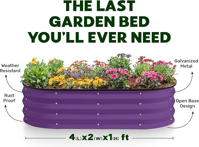 Galvanized Raised Garden Beds Outdoor // 4×2×1 ft Planter Raised Beds for Gardening, Vegetables, Flowers (Purple) // Large Metal Garden Box