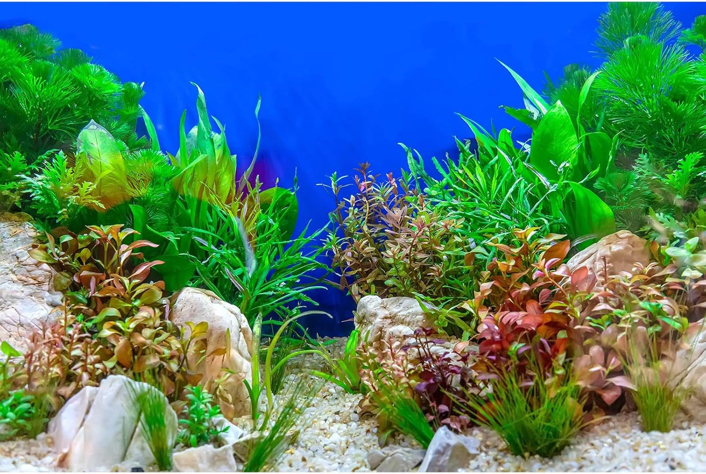 Green Aquatic Plant Aquarium Background Stone River Bed and Lake Terrarium Background Decor Underwater Grass Leaves with Pebble Aquarium Backdrop Perfect Fish Tank Decors Vinyl 48x18in
