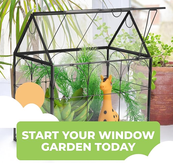 Window Garden Glass Terrarium with Lid - 9x11x6-Inch Indoor Greenhouse Plant Terrarium Decor Planter Dome - Terrarium Kit Tabletop Greenhouse - Plant Accessories Ideal Gift for Nature Lovers