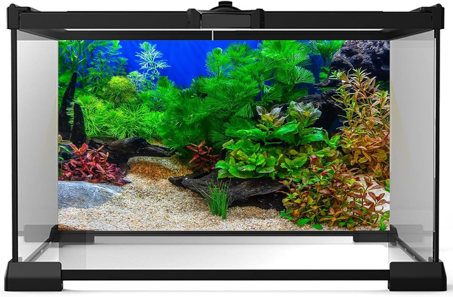 Fish Tank Background Underwater Grass Leaves with Pebble Aquarium Background Vivid Fresh Green Aquatic Plant Stone River Bed Terrarium Bakcground Lake Fish Dead Wood Tank Wallpaper 30x12in