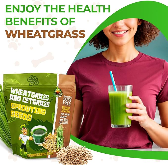 Todd’s Seeds – Cat Grass for Indoor Cats, 1lb Wheatgrass – Premium, Non-GMO, Pet-Safe & Easy to Grow – No Fillers, 100% Chemical-Free