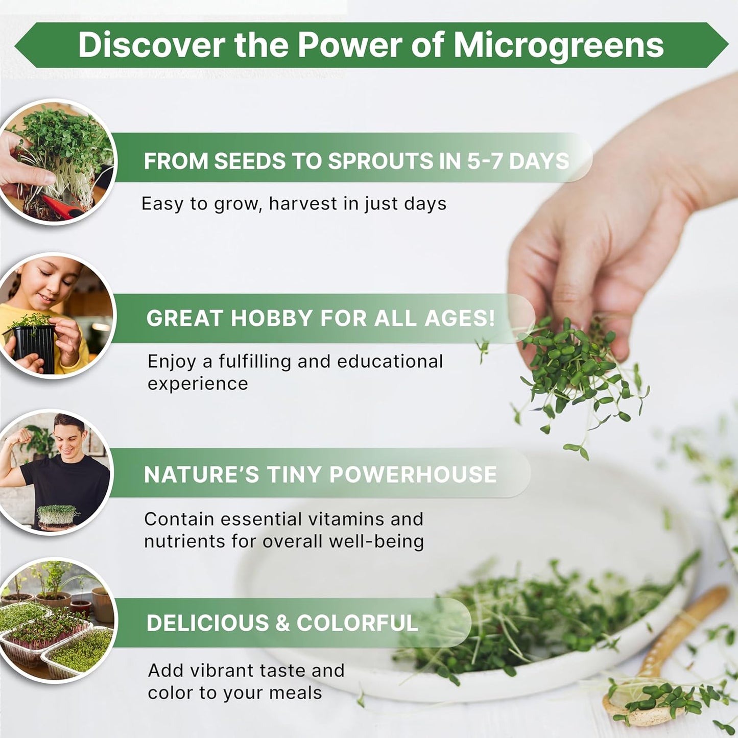 Organo Republic Broccoli Sprouting & Microgreens Seeds - Non-GMO, Heirloom Sprout Seeds Kit, 1lb Resealable Bag for & Growing Microgreens in Soil, Coconut Coir, Aerogarden & Hydroponic