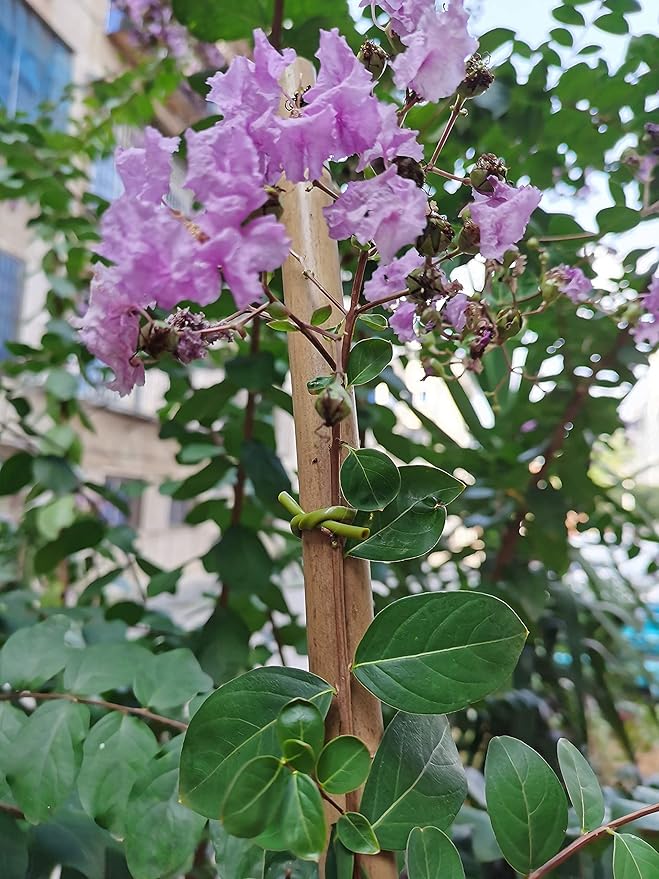 TIPU Soft Rubber Garden Rope Twine, Soft Hollow Stretchy Plant Support and Garden Twine, Green, 262 FT