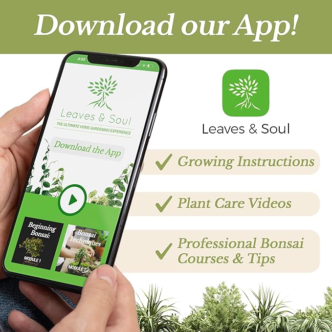 Bonsai Soil Premium All Purpose Blend | Pre-Mixed Ready to Use for Fast Drainage | Large 2.2 Quarts | Lava, Limestone Pearock, Calcined Clay and Pinebark | Made in USA