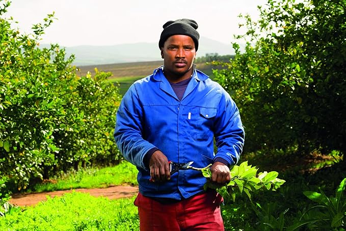 Felco F5 Pruning Shears – 8.9" Swiss-Made Garden Clippers with Revolving Handle | Hand Pruners for Gardening | Garden Tool Cutter with Precision Bypass Blade, Forged Aluminum Body, Replaceable Parts