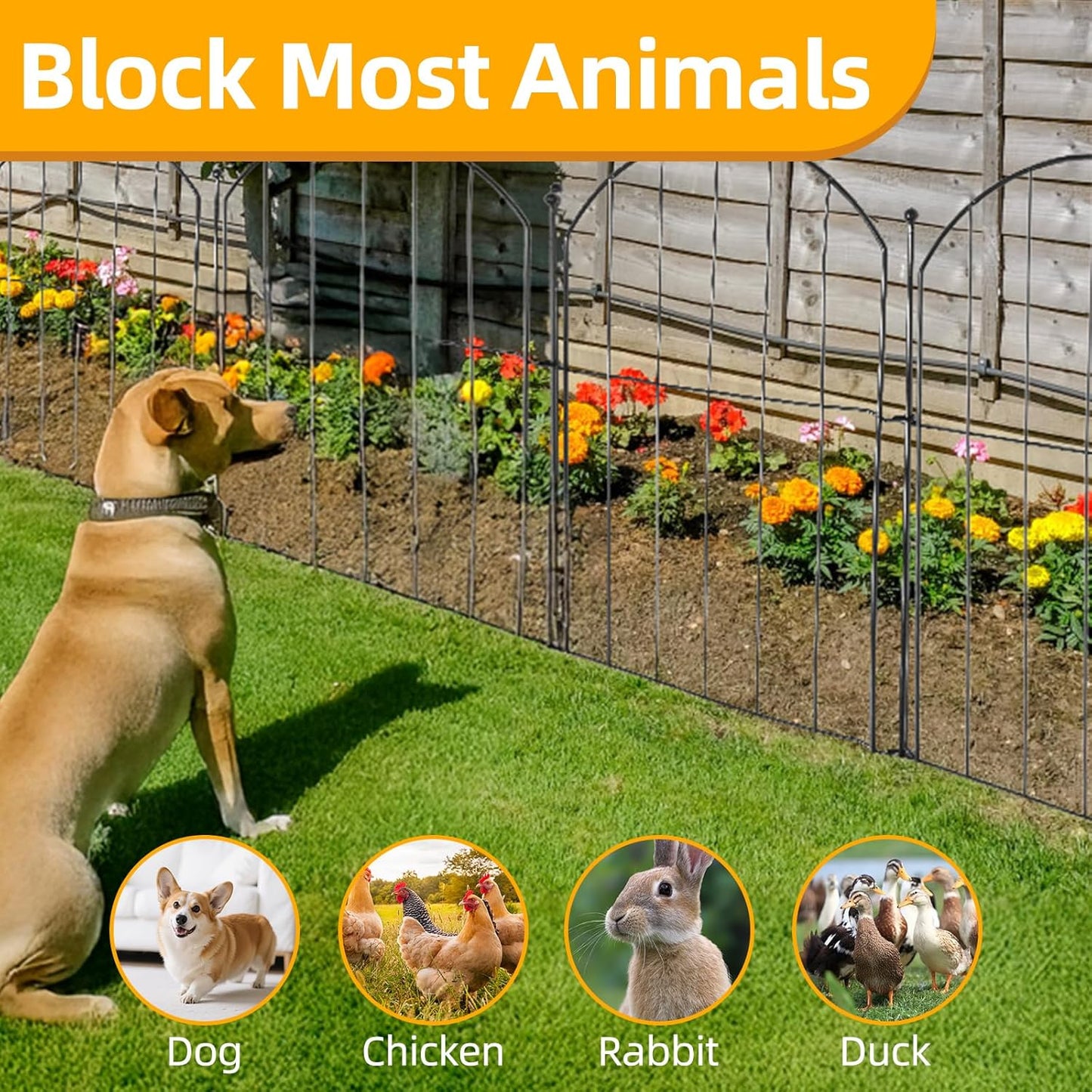 No Dig Garden Fence 16in x 10ft 10 Panels Decorative Garden Border for Fencing for Flower Beds, Dog Barrier, Patio and Yard Decoration