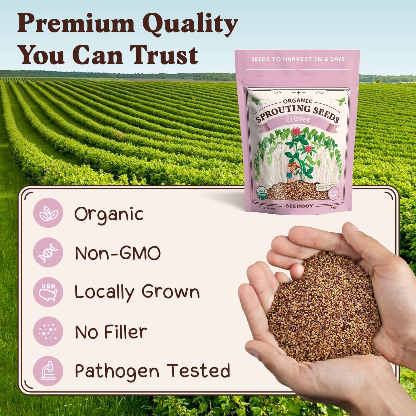 Seedboy Organic Clover Seeds for Sprouting - Non-GMO, USA Grown Microgreens Sprouting Seeds Mix - Makes 8 Quarts of Sprouts, 24 Servings (8 oz) (Red Clover)