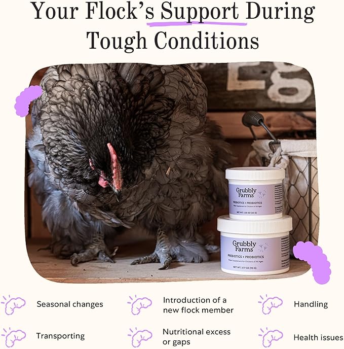 Grubbly Farms Prebiotics + Probiotics for Chickens (30 Day)
