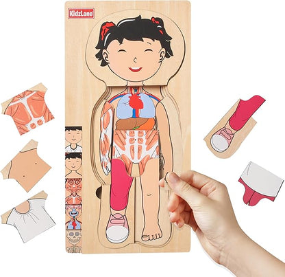 Kidzlane Wooden My Body Puzzle for Toddler - 5-Layer Girl Anatomy Puzzle - Real Wood - Multicolor - Educational Human Body Toy for Kids - BPA Free - Educational Toys