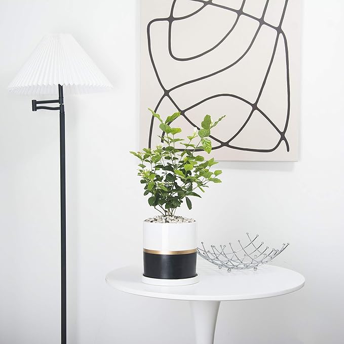 Ekirlin 6 inch Plant Pot - Ceramic Flower Planters Indoor - Modern Succulents Containers with Drain Hole Saucer, Decorate Home, Office & Outdoor (Black)