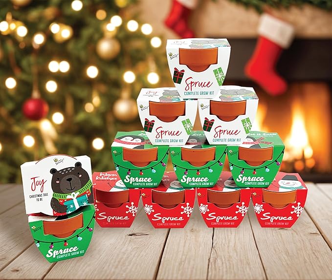 Buzzy Seeds Holiday Festive Friends Terracotta Mini Grow Pots | Assorted Spruce 12-Pack Bear, Penquin, Snowman | Tree Starter Kit for Kids & Adults | Guaranteed to Grow | Stocking Stuffers, Gifts