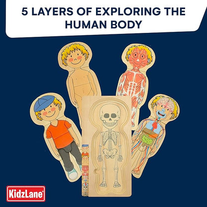Kidzlane Boy Wooden My Body Puzzle for Toddlers & Kids - 29 Piece Boys Anatomy Puzzle Kid Play Set - Anatomy for Kids, Skeleton Toys for Children Ages 3 Plus