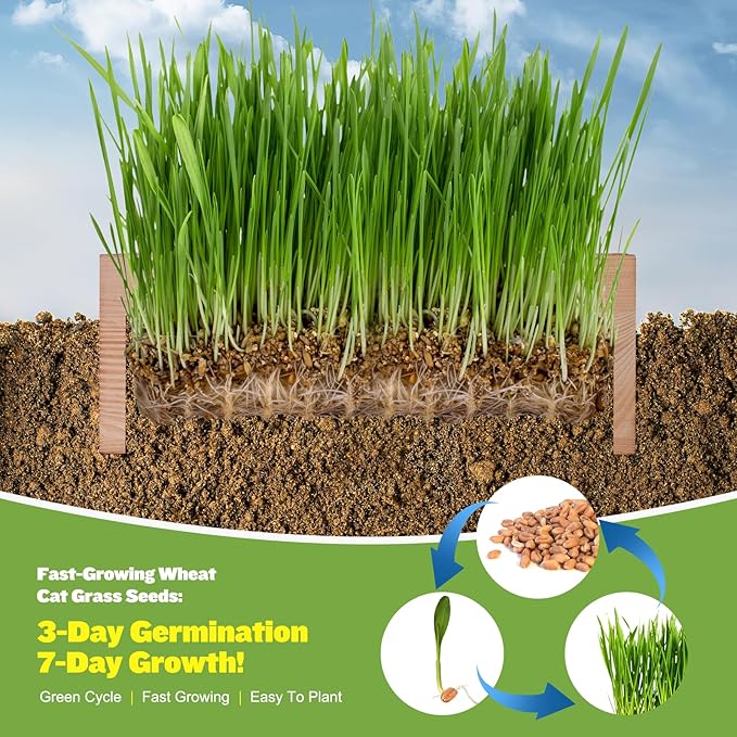 Organic Cat Grass Kit for Indoor Cats - 3 Pack with Cat Grass Seeds, Nutrient Soil & Planter Pots | Complete Growing Set for Fresh Pet Grass (Non-GMO Wheat Grass)