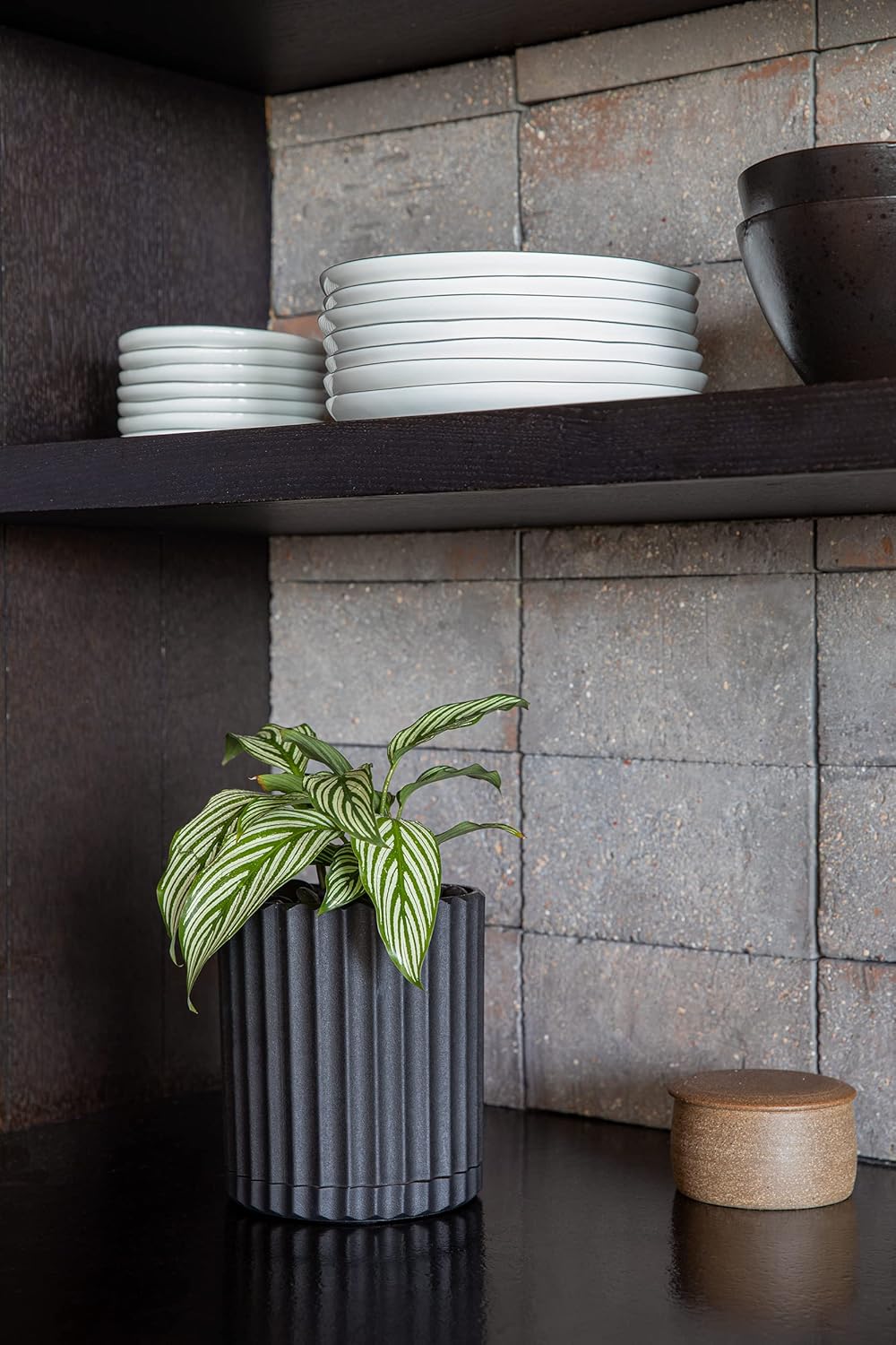 Veradek Demi Series Demi 6" Planter w/Tray - Black, 2 Pack