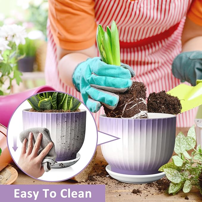 6.7 + 5.5 Inch Plant Pot, Ceramic Planter with Drainage and Saucer, Ceramic Pots for Plants, Indoor Plant pots,Ceramic Flower pots（Purple + White, Plants NOT Included）