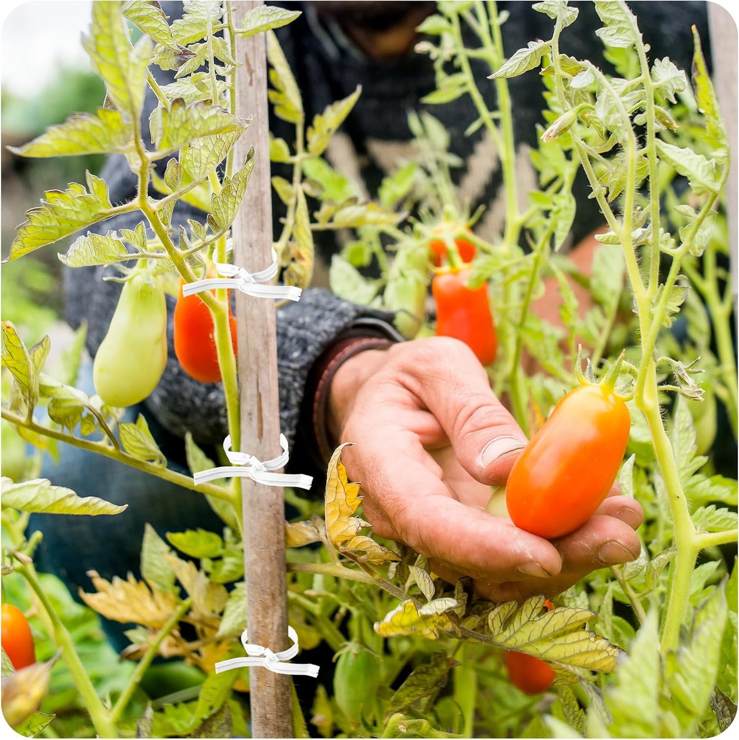 200PCS 6 Inch Kraft Paper Twist Ties, Reusable Cable Ties for Tying Bread, Plant Support, Bread Packaging, Candy Bags and Craft Projects (White)