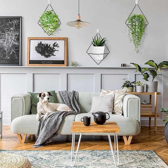 3 Sets of Wall Planters for Indoor Plants, Hanging Wall Planter with Black Metal Holder, Geometric Self Watering Wall Flower Pots, Wall Mounted Succulent Planter, 5" White Plant Pot