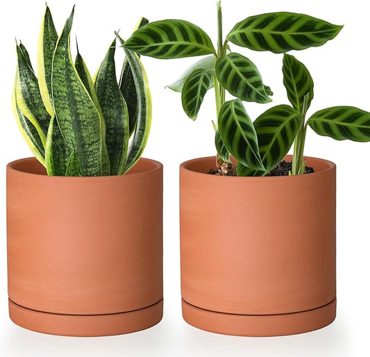 D'vine Dev Small 6 Inch Terracotta Plant Pot with Drainage Hole and Saucer, Round Cylinder Planter Pot for Indoor Plants, Set of 2, 40-X-B-3