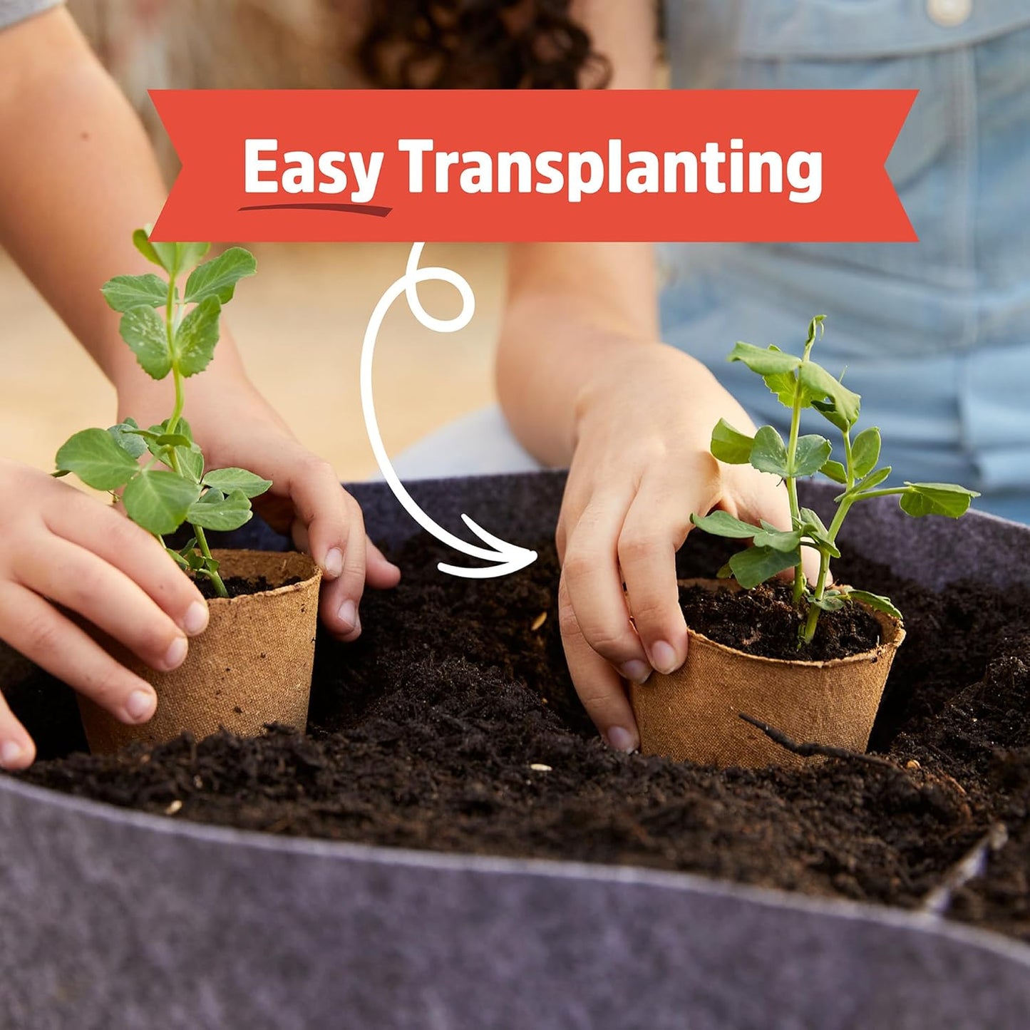 Back to the Roots Organic Watermelon Grow Kit