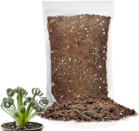 Premium Albuca Spiralis Potting Soil Mix - Perfect Balance of Nutrients, Drainage, and Aeration for Thriving Blooms - 20 Quart