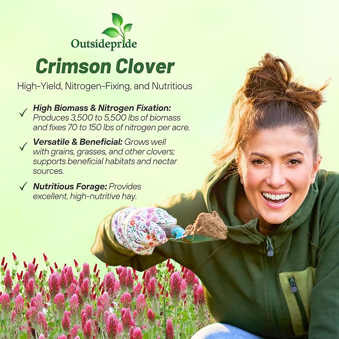Outsidepride Crimson Clover Seeds - 40 lbs. Annual, Nitrocoated, & Inoculated Ground Cover Seeds, Ideal Clover Seed for Lawn, Cover Crop, Pasture, Hay, Green Manure & Wildlife Forage