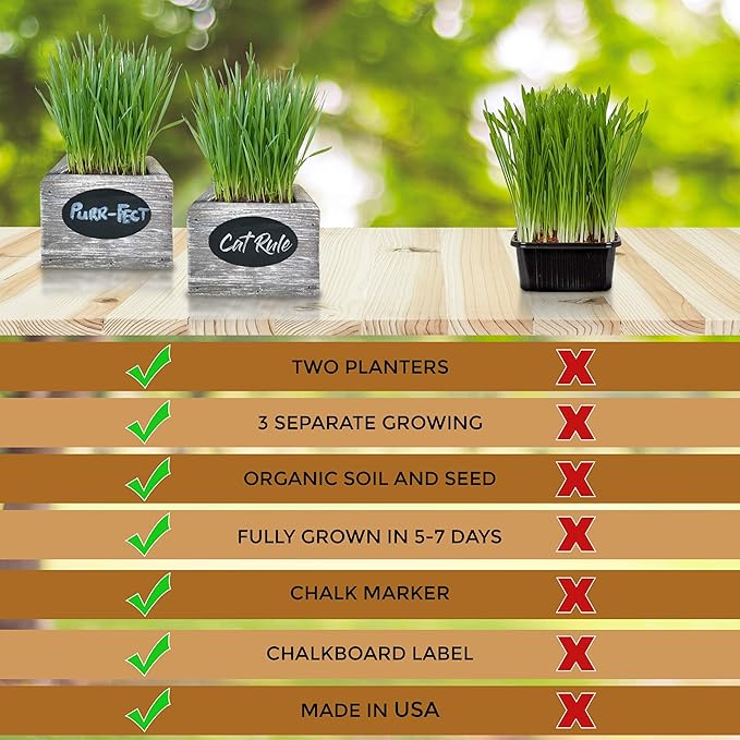 Cat Grass for Indoor Cats Kit – Organic Wheatgrass Seed & Soil, Hairball Remedy in Red Cedar Planter, Gift Box with Bonus Label, Pen & 10% Cat Treats Discount (White)
