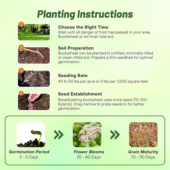 Outsidepride Buckwheat Seeds - 50lbs Annual, Fast-Growing, Easy to Grow Buckwheat Cover Crop Seeds for Green Manure, Bee Pasture & Pollinators, Wildlife Habitat, Soil Improvement, and Erosion Control