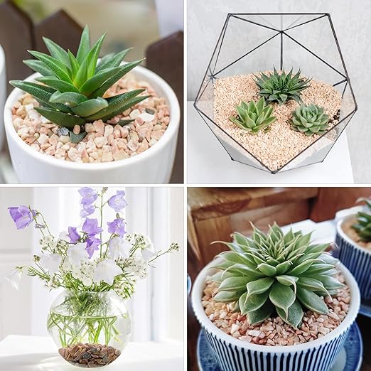 10lbs Peach Pebbles for Plants, 3/8inch Small Rocks for Succulent Cactus Plants, Natural Polished Pebbles, River Rocks for Plants, Vases, Garden