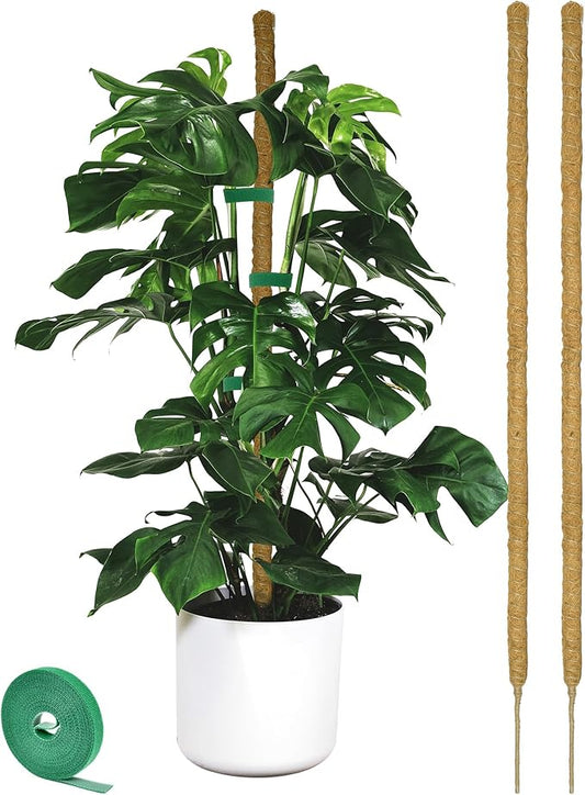 2 Pack Moss pole - 46 Inch Moss Pole Indoor - Monstera Plant Support - Plant Stakes for Indoor Plants - Plant Stiks support Tall - Moss Pole for Climbing Plants support - Monstera Pot - Moss Poles