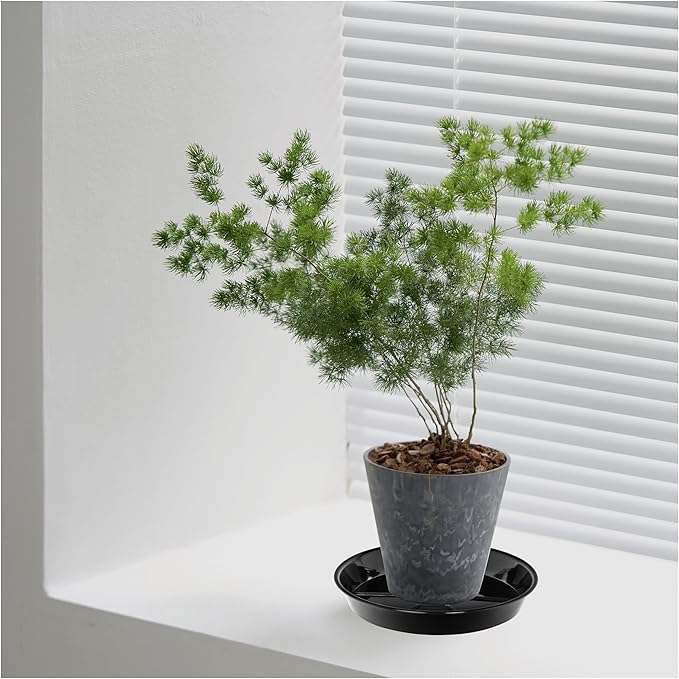 2 Pack Plant Saucer Drip Tray 19 inch, Large Heavy Sturdy Plastic Planter Flower Pot Saucers for Indoor Outdoor Garden, Plant Water Drip Trays for pots (19" 2Pack, Black)