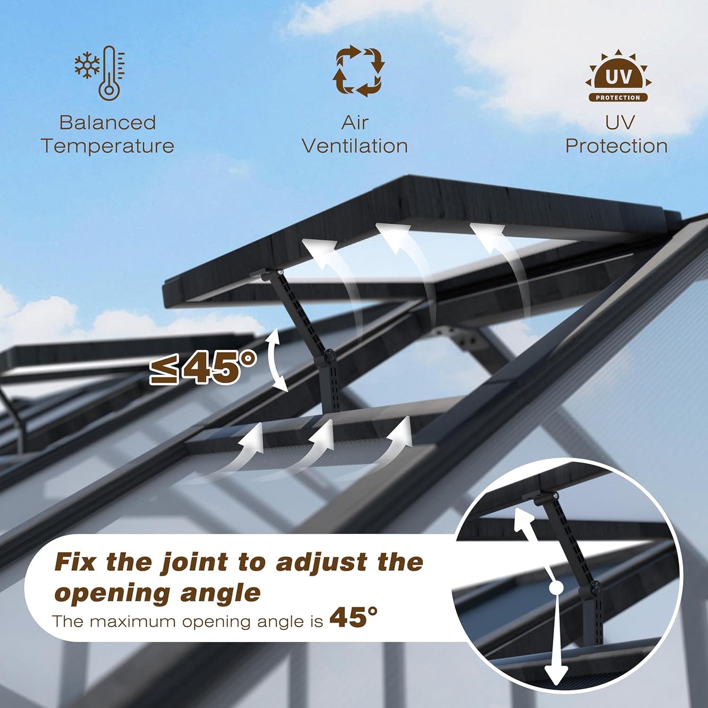 BlueWish 6x12FT Greenhouse, Greenhouse for Outdoor with Cedar Frame, Adjustable Vent, Wood Greenhouses with Polycarbonate Panel, Green House for Outside, Garden, Backyard, Black