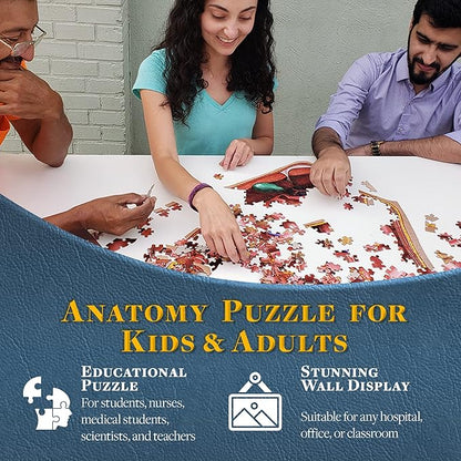 Dr. Livingston's Human Eye Anatomy Puzzle - A Medically Accurate Jigsaw Puzzle of The Human Eye - Educational Science Puzzles and Unique Gifts for Eye Doctors, Nurses and Medical Students