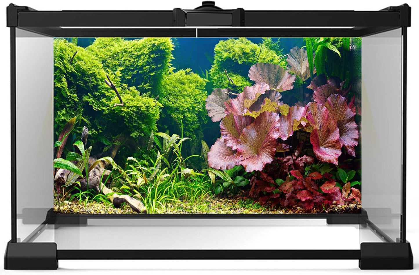 Aquarium Background Underwater Grass Leaves Pebble Aquarium Backdrop Vivid and Fresh Green Aquatic Plant Background Stone River Bed DeadWood Purple Leaves Tank Background Decor Vinyl 48x20in