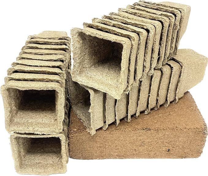 Seed Needs, Culinary Herb Seed Packet Collection Seed Starting Bundle (Includes 12 Individual Seed Packets, 36 Starter Pots & 1 Expandable Coco Coir Brick) Heirloom, Non-GMO, Untreated