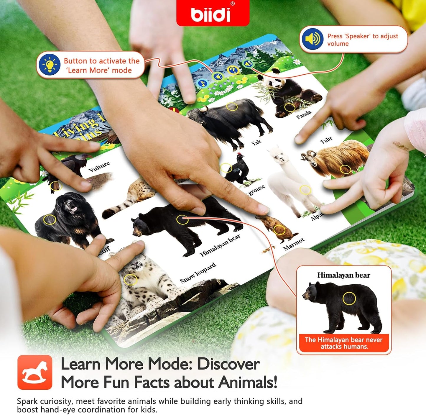 English Talking Book for todddler 3-5,Interactive Sound Book Kids 3 4 5 6 7 8 Year Old,Preschool Educational Learning Toy,Boys and Girls Birthday Gift,Autism Sensory,with 600+Sounds,171 Animal