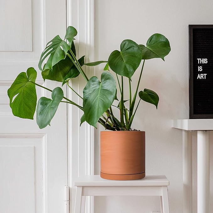 D'vine Dev Small 6 Inch Terracotta Plant Pot with Drainage Hole and Saucer, Round Cylinder Planter Pot for Indoor Plants, 40-X-A-3