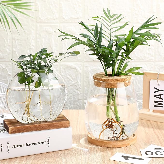Layhit 4 Pcs Plants Propagation Stations Separated Desktop Plant Terrarium Glass Planter Vase with Wooden Lid and Bamboo Stand for Growing Hydroponic Home Office Tabletop Decoration (Cute Style)