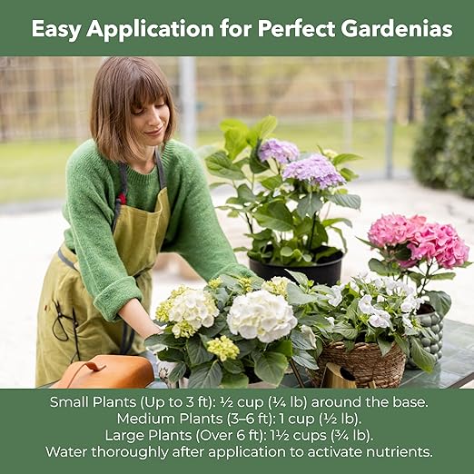 Slow Release Hydrangea Fertilizer with Iron & Sulfur – Indoor & Outdoor Soil Acidifier for Miracle Growth (4 qt)