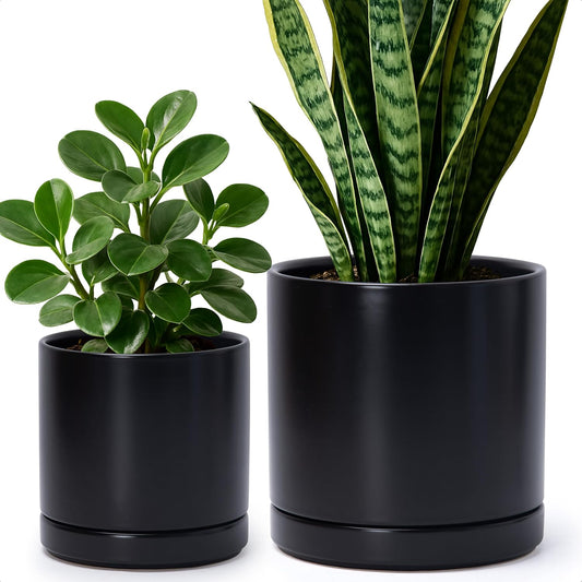 D'vine Dev 6.5 Inch & 8.2 Inch Ceramic Planter Pots for Plants with Drainage Hole and Saucer, Medium Plant Pots Set, Black, 94-G-M-2